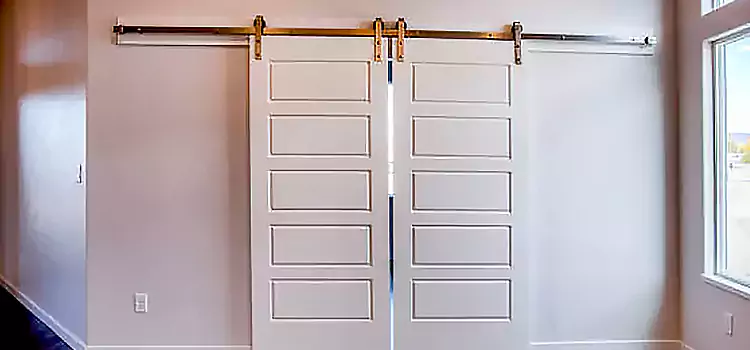 Glass Barn Door with Installation Hardware Kit Lowell